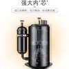 Unidad de refrigeración para estanque de peces de mariscos japonés, termostato para estanque de peces, refrigerador industrial súper, máquina de enfriamiento y calefacción, ventas directas de fábrica