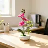 Três Flores Duas Folhas Uma Folha Orquídea Phalaenopsis Planta em Vaso Simulação Mesa de Jantar Hotel Sensação Flor Artificial Bonsai de Pedras Ornamentação de Planta Verde