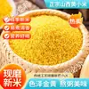 1.5 kg de Nuevo Mijo Amarillo de Granja de Shanxi para Nutrir el Estómago, Mijo Amarillo de Grano Entero, Grano Nuevo de Temporada