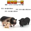 Porquinho Fofo Simulado, Gado, Porca, Modelo de Javali, Boneco Animal de Brinquedo, Presente Educacional de Plástico para Crianças