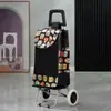 Carrito de Compras de Acero Inoxidable, Carrito Trepador de Escaleras, Carrito Grande Plegable para el Hogar para Personas Mayores, Carrito de Arrastre Manual