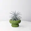 Plantas em Vasos de Abacaxi-do-Ar, Plantas de Escritório, Pequenos Ornamentos de Plantas Verdes para Mesa de Trabalho, Micro-Paisagismo, Flores Fáceis de Cultivar para Pessoas Preguiçosas em Todas as Estações