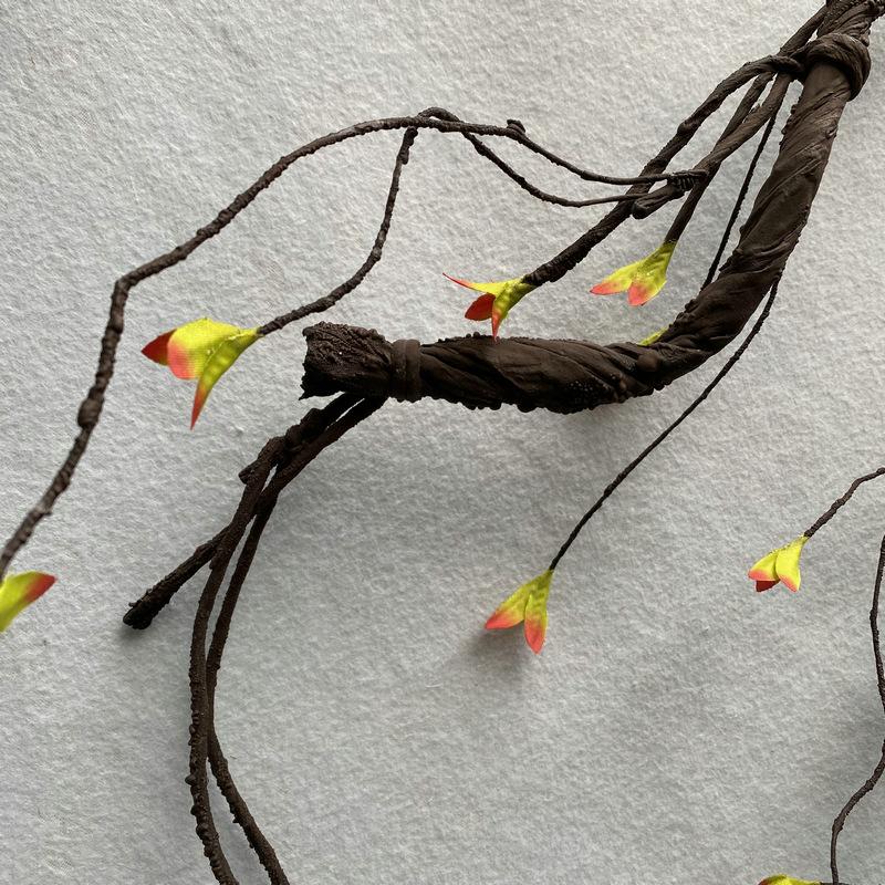 尾部细节展示.JPG
