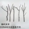 Galhos Secos, Galhos Mortos, Arte em Troncos Estilo Zen, Decoração de Vaso Ramificado, Galhos, Árvores para Paisagismo