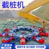 Venta al por mayor de fábrica Rompedor Hidráulico de Pilotes, Rompedor de Pilotes para Sitio de Construcción Rompimiento de Pilotes y Retención de Barras de Acero en Venta