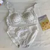Venda Direta de Fábrica de Roupas Íntimas Femininas de Renda Doce Populares Transfronteiriças, Sem Fio, Confortáveis, Amigáveis à Pele, Push-Up, Conjunto Pequeno