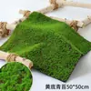 Musgo de simulação gramado grama artificial musgo falso musgo suculento micro paisagem material de decoração DIY gramado flocado musgo