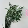 Hierba Xiao Pan Flor Eterna Yunnan Fábrica de Flores Secas Venta al por Mayor Nuevos Clientes Disfrutan de Buenos Regalos Regalo de Navidad Accesorios para Sesiones de Fotos