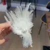 Pasador Coreano de Pluma de Hada Retorcido para la Parte Trasera de la Cabeza, Pinza de Tiburón Plana, Lujo Accesible con Borla de Cristal para Mujeres