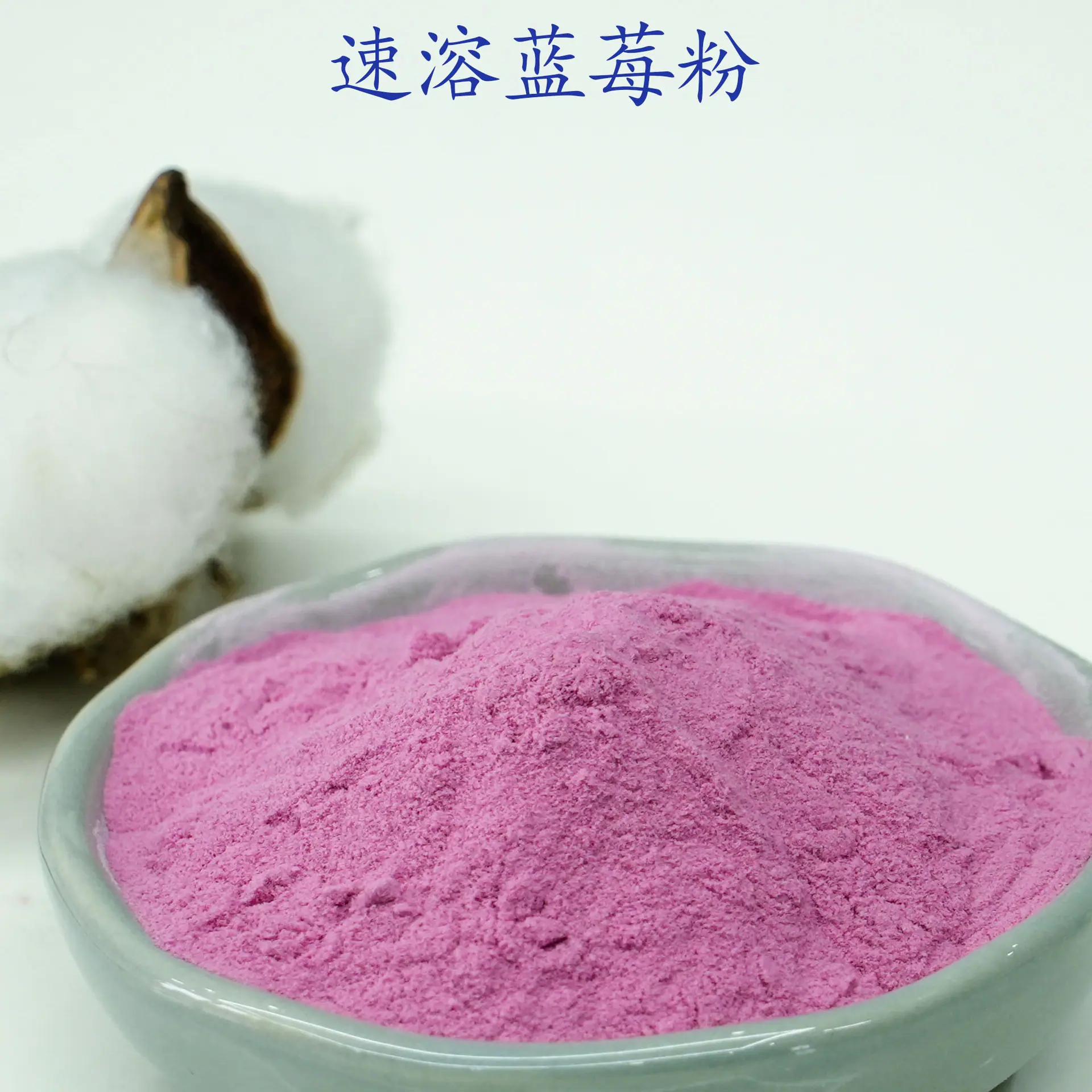 蓝莓粉2.jpg