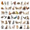 50 pegatinas creativas con fotos del mundo animal, manual para cuaderno, decoración DIY, pegatinas populares de Amazon.