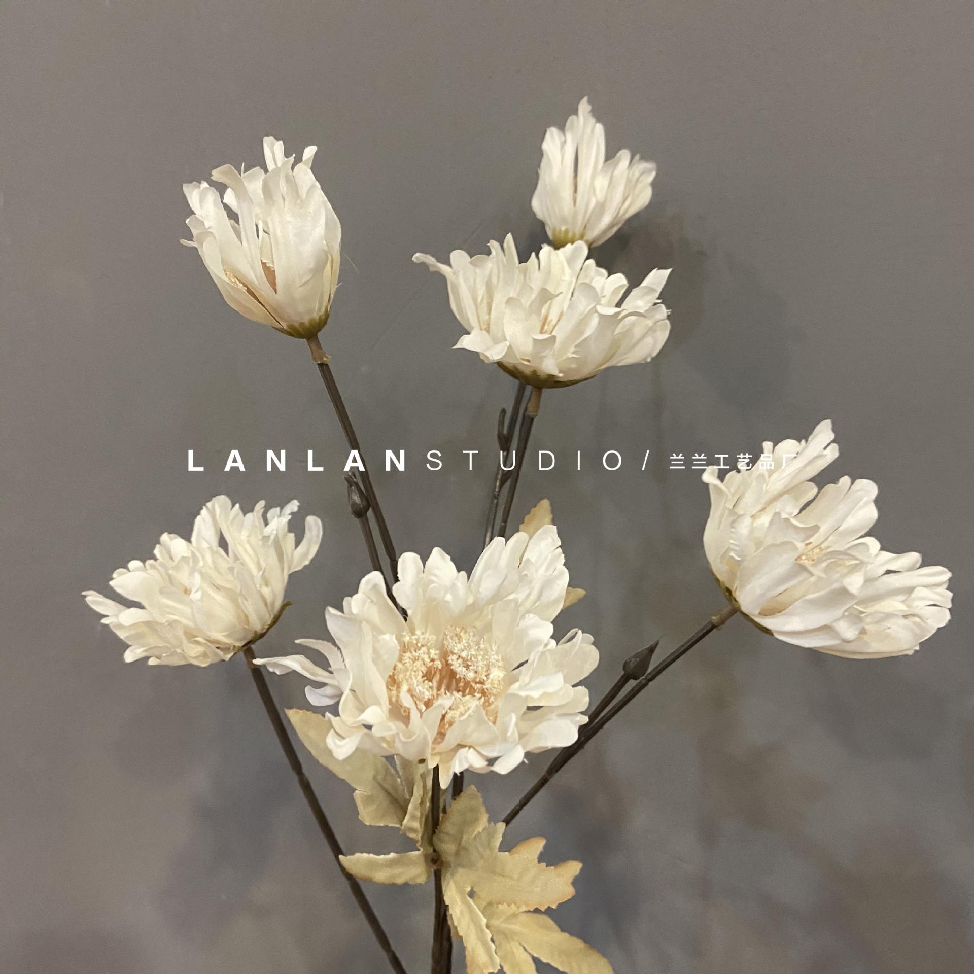 微信图片_20201025202024