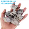 Pedra para Paisagismo de Aquário Mini Pequena Peça de Pedra Dragão Verde Pedra Natural Real Tanque com Plantas Esqueleto Emenda Pequena Peça de Bonsai Micro Paisagem