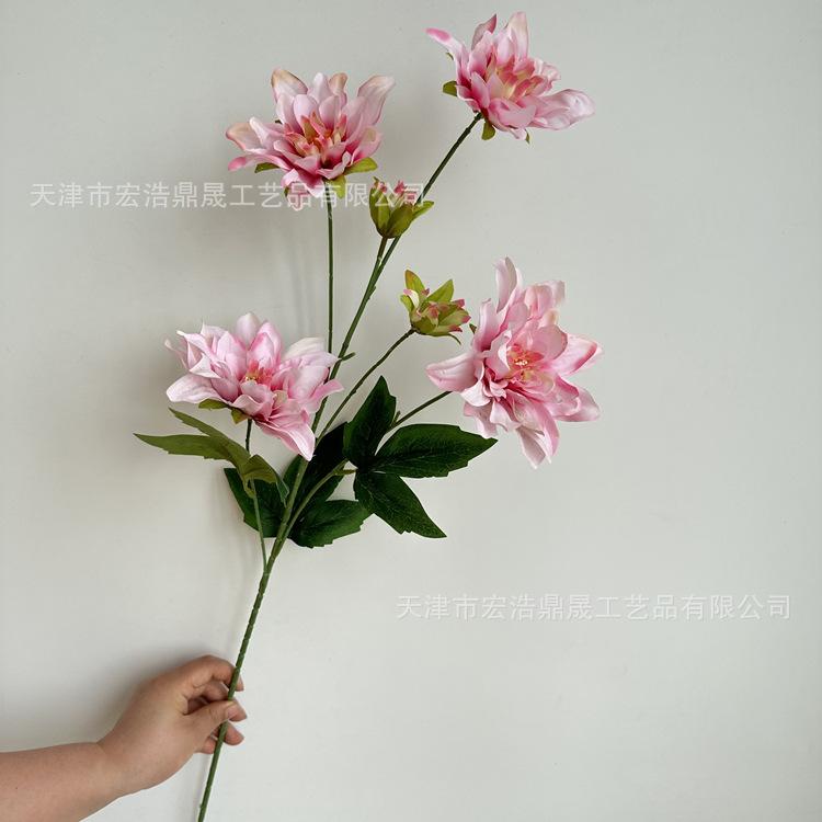 微信图片_202305251523312_副本