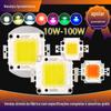 Contas de lâmpada LED integradas de alta potência 10W20W30W50W100W, branco quente, branco natural, branco frio, suporte de cobre