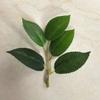 Hoja de tela adhesiva de cinco piezas planta de simulación hojas de té de simulación diy estilo Mori sensación en la mano hoja Accesorios Al por mayor