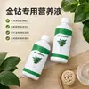 Solução Nutricional Especial Diamante Dourado Princesa Verde Folhas Amarelas Manchas Pretas Podridão das Raízes Cipó Princesa Verde Flor Veludo Verde Fertilizante Fertilizante Solúvel em Água
