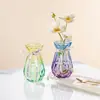 Vaso redondo para sala de estar vaso transparente para arranjo de flores buquê hidropônico cor europeia prato de flores e frutas ornamentos vaso de vidro