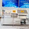 Descascador de maçã, equipamento descascador automático de frutas, pasta de pera de processamento profundo linha de montagem completa