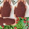 Sementes de Centáurea Perene no Atacado de Várias Regiões, Sementes de Dianthus Multicolores, Flores Medicinais, Flores de Trigo Gigantes, Sementes para Jardinagem
