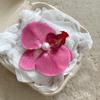 Horquilla elegante de flor de Phalaenopsis estilo coreano, clip para flequillo lateral, adorno para la cabeza de perlas Preface para mujer, nuevo estilo 2024