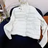 Jaqueta de algodão acolchoada com gola alta, estilo coreano, nova moda outono e inverno, casaco base quente e leve para mulheres