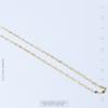 Collar de Acero Titanio Galvanizado al Vacío con Oro Real, Cadena de Hueso de Serpiente, Cadena Simple y Exquisita para la Clavícula, Joyería Estilo Ins