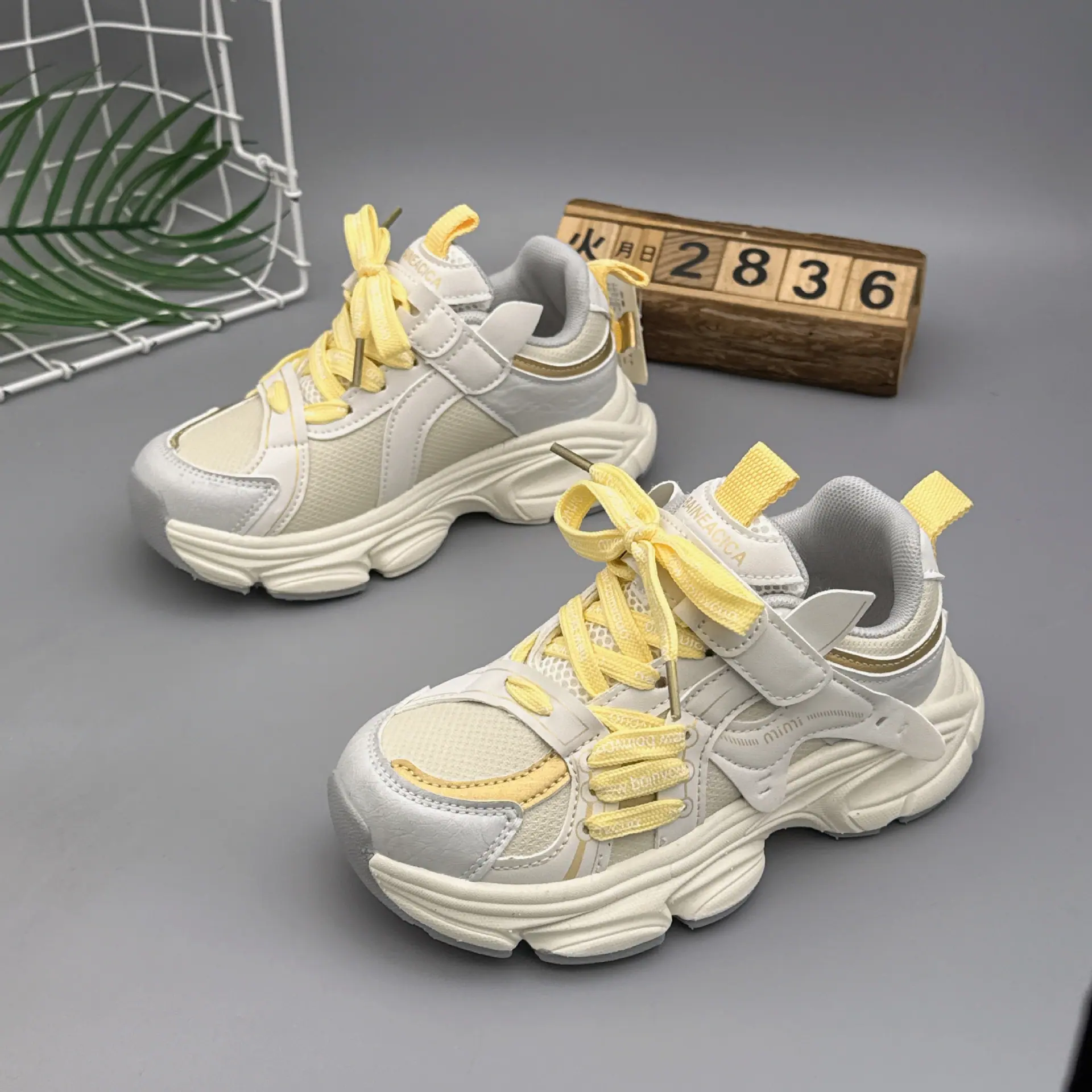 微信图片_20260122162202_10422_69