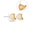 Pendientes Europeos y Americanos Nuevos de Resina Ámbar Acero Inoxidable Pendientes Moda Retro Estilo Maillard Pendientes de Acero de Titanio Joyería