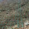 Red de geomembrana trepadora personalizada para recuperación de minas y reforestación de taludes. Red trepadora de plantas de acero y plástico ecológico.