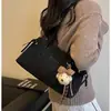 Bolso de Mano Casual Chic para Mujer Nuevo Verano 2026, Gran Capacidad, Diseño de Nicho, Estilo Coreano Pequeño Bolso de Hombro o Axila