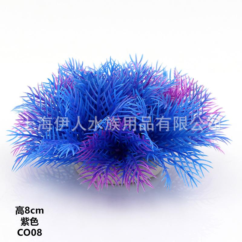 CO08紫色