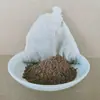 Arroz con pata de cerdo Longjiang sazonador de adobo salsa de adobo Chaoshan ganso marinado codo de mano de cerdo marinado paquete de guarnición de carne fórmula