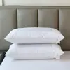 2026 Nuevo Modelo Hotel Económico Ropa de Cama de Hotel Núcleo de Almohada de Trigo Sarraceno Almohada de Alta Elasticidad (Imagen de un solo lado)