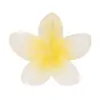 Presilha de Cabelo Flor de Frangipani Mais Vendida, Presilha de Garra para Cabelo, Presilha Tubarão, Tamanho Grande para Cabelos Grossos, Acessórios Populares, Joias Yiwu