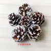 Atacado de Fábrica de Pinhas Ornamentais de Vários Tamanhos 1-18cm, Pinhas de Flores Secas, Pinhas Oleadas com Hastes para Decorações de Natal
