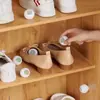 Desodorante Artefacto Ambientador para Zapatero Larga Duración Desodorización y Desodorización de Armario Bolsita Desodorante de Zapatos 83060
