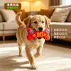 Hueso de juguete chirriante para mascotas hace sonidos, muele los dientes, alivia el aburrimiento, juguete de peluche interactivo para perros y gatos, duradero y adecuado para dormir con él