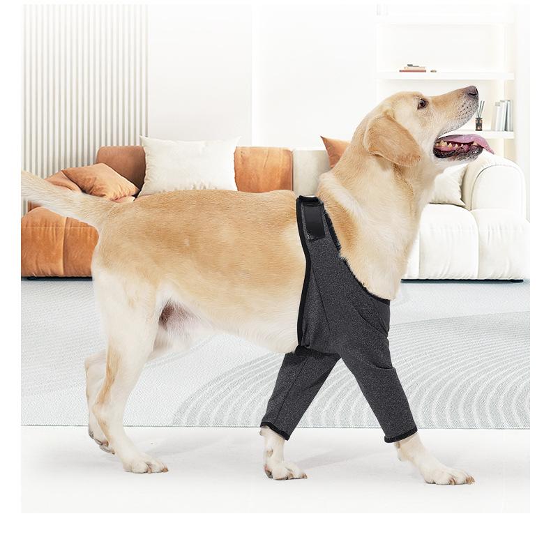 犬用防舔袖_11.jpg