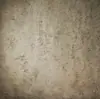 Lona de Textura Espesa Tela de Fondo Fotográfico sin Costuras Lienzo al Óleo Ropa Comercial Boda Foto Fotografía en Vivo Foto