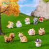Jardinería con Musgo Micro Paisaje Creativo Rana Linda Animales Miniatura Decoración DIY Accesorios Mini Adornos Pequeños