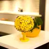 Armadilha para Mosca da Fruta, Armadilha Pequena para Insetos Voadores, Removedor de Mosquitos para Interior, Armadilha Pegajosa para Mosquitos de Cozinha, Atrativo para Moscas