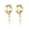 Moda Europeia e Americana Novos Brincos de Titânio com Pingente de Raio Fivela de Orelha Sexual Brincos Cruzados para Ebaywish Brincos Atacado