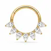 Anillo nasal cerrado sin costuras de aleación de titanio G23 con incrustaciones de circonita Zhenping, aro para tabique nasal y hueso de la oreja, joyería nasal finamente tallada F136