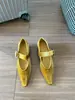 Zapatos de Salón Individuales de Punta Francesa y Boca Baja de Estilo Nuevo Primavera 2026 para Mujer, Zapatos de Terciopelo con una Correa, Zapatos de Tacón Bajo Grueso para Mujer