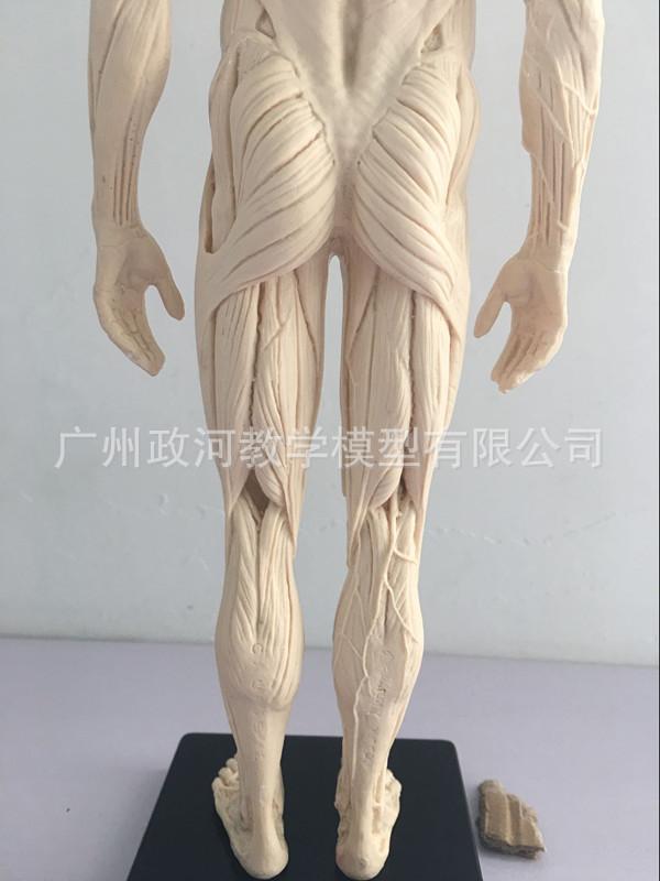 QQ图片20180825155218