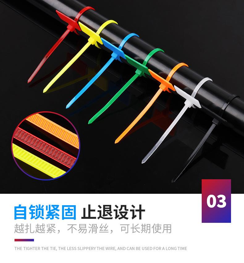 标牌式尼龙扎带_10.jpg