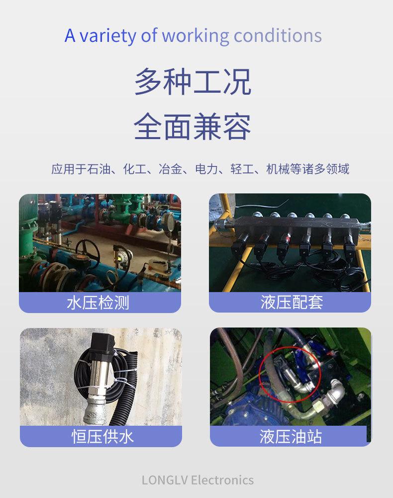 PTL516R压力变送器_03