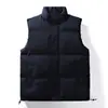 Chaqueta cálida de algodón con plumón versátil informal y holgada unisex de moda transfronteriza para otoño e invierno.