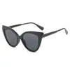 Óculos de Sol Retrô com Armação Cat-Eye para Homens e Mulheres, Presentes Coloridos para Festas, Personalidade da Moda, Óculos Triangulares da Moda de Celebridade da Internet